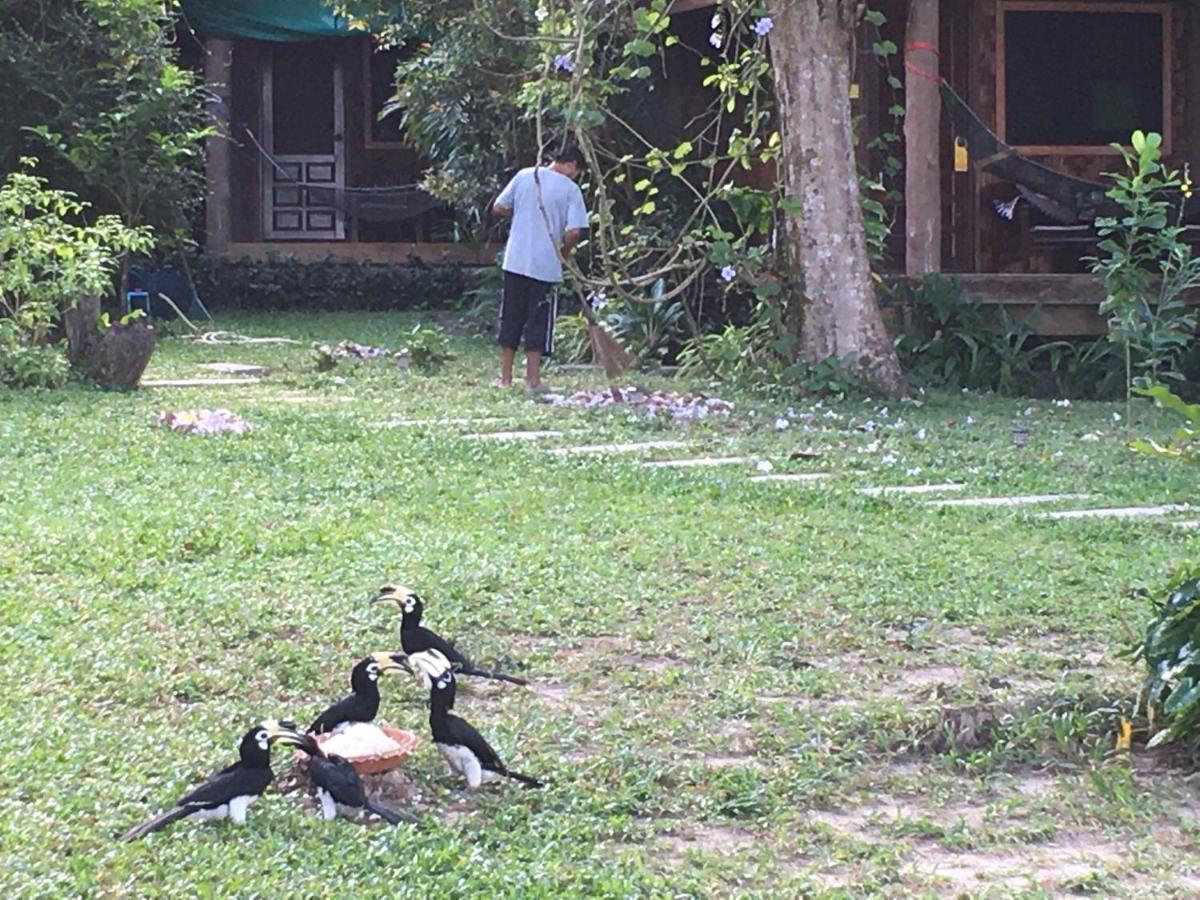 Starlight Beach Resort Koh Phayam Buitenkant foto