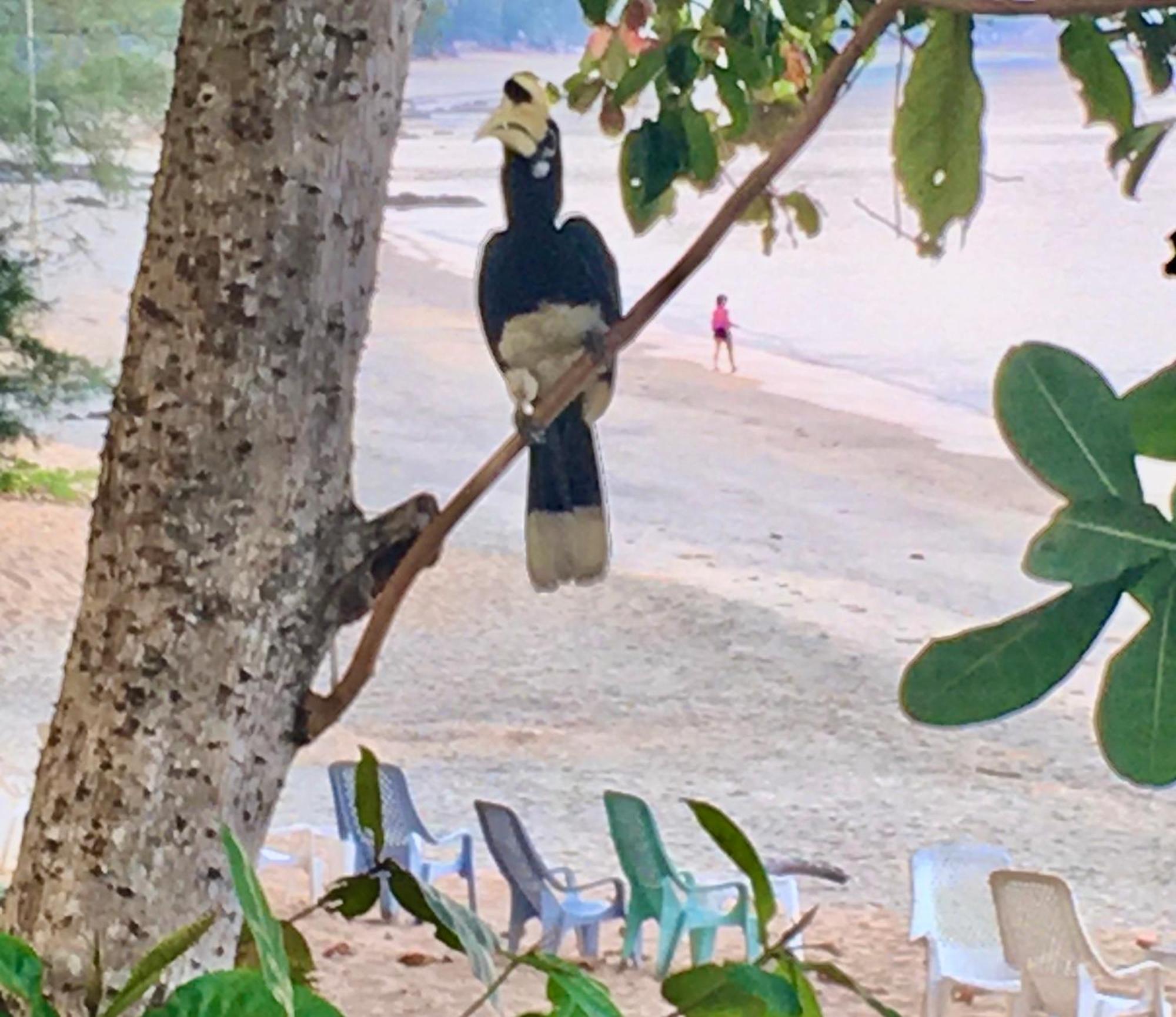 Starlight Beach Resort Koh Phayam Buitenkant foto